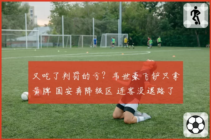 又吃了判罚的亏？韦世豪飞铲只拿黄牌 国安奔降级区 连客没退路了