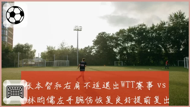 张本智和右肩不适退出WTT赛事 vs 林昀儒左手腕伤恢复良好提前复出