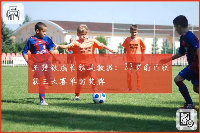 王楚钦成长轨迹数据：23岁前已收获三大赛单打奖牌