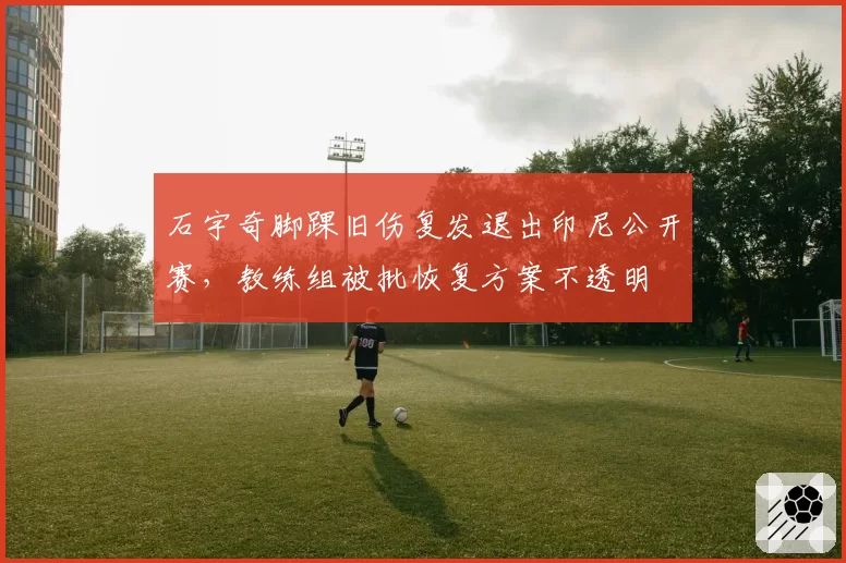 石宇奇脚踝旧伤复发退出印尼公开赛，教练组被批恢复方案不透明