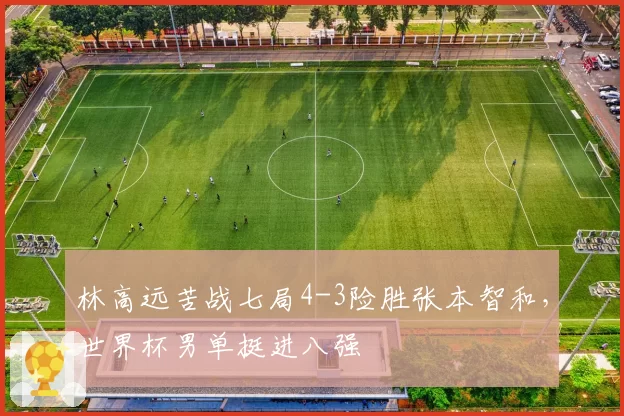 林高远苦战七局4-3险胜张本智和，世界杯男单挺进八强