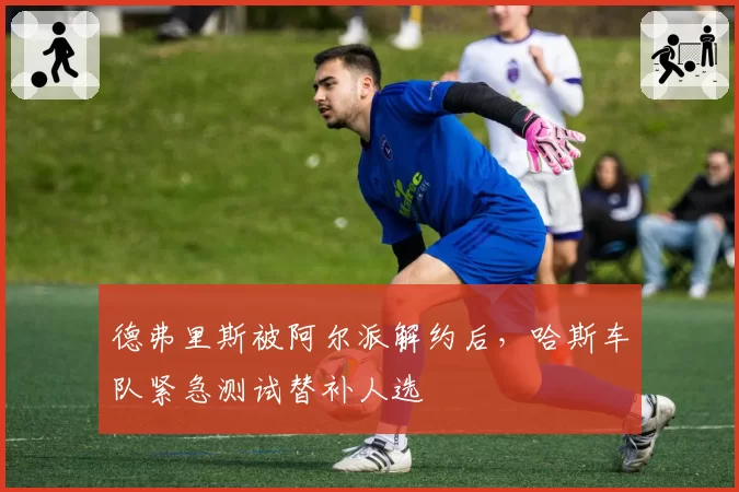 德弗里斯被阿尔派解约后，哈斯车队紧急测试替补人选
